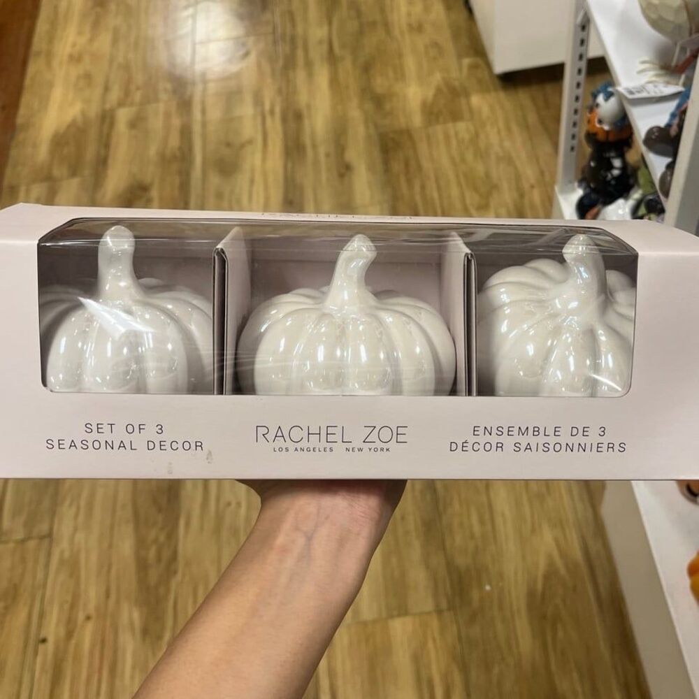 Rachel Zoe Set of 3 Seasonal Decor Pumpkins